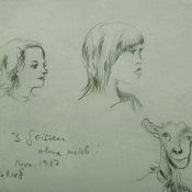 Drei Geissen - ohne mich, Zeichnung, Museum, 19813-fixed.jpg